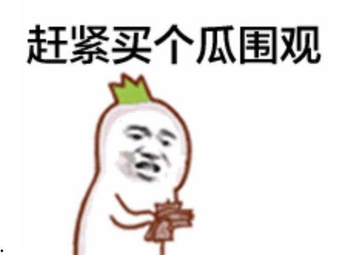 网红吃瓜表情包是谁啊