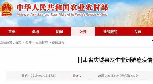 甘肃大掌柜爆料案件最新消息,案情揭秘与进展追踪 第3张 甘肃大掌柜爆料案件最新消息,案情揭秘与进展追踪 第3张